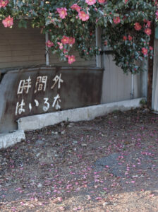 ファンタジー　ハナヨウヒン　クボメグミ