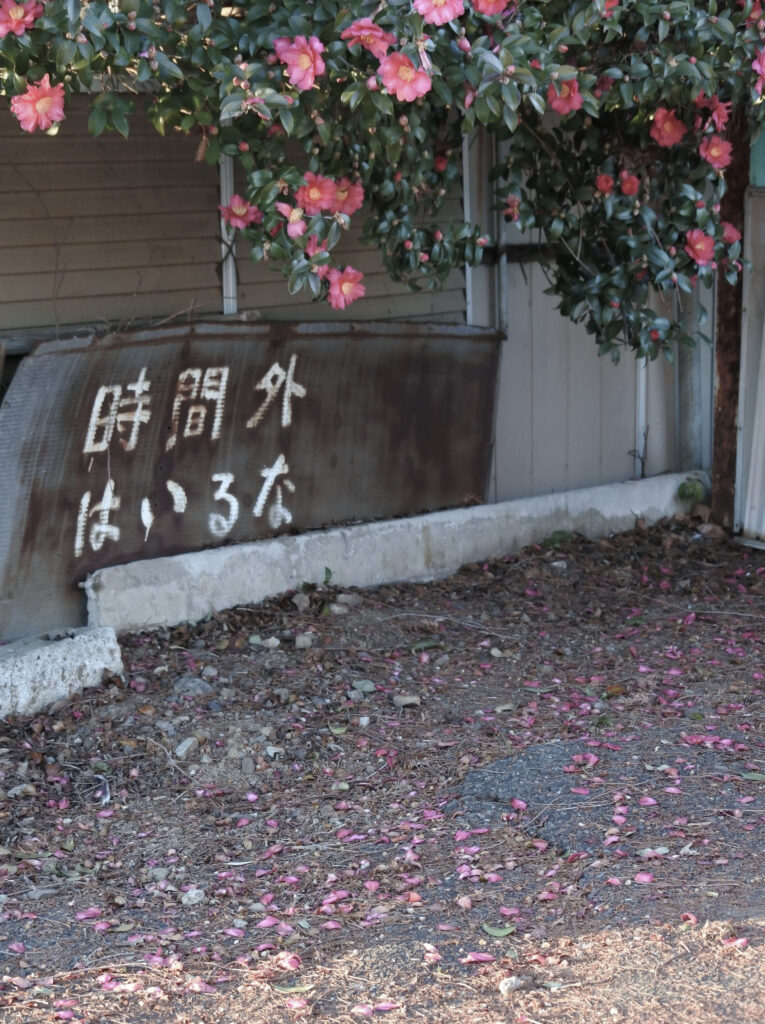 MY NOTE クボメグミ