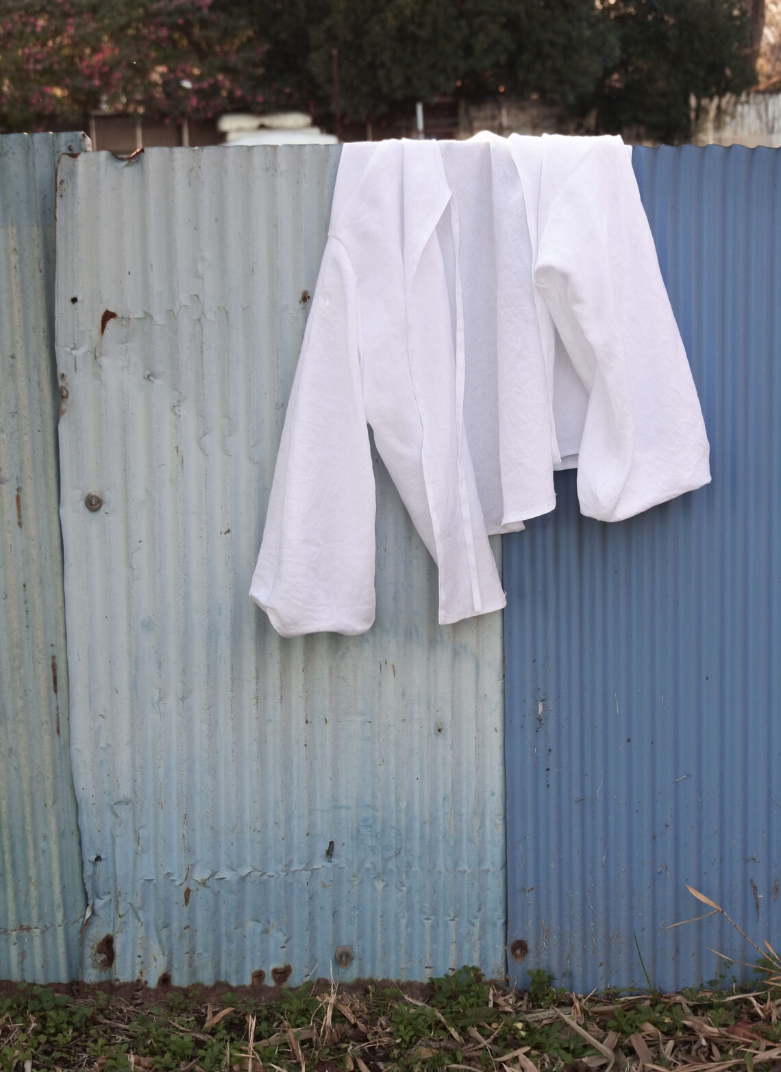 ハナヨウヒン　クボメグミ