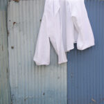 ハナヨウヒン　クボメグミ